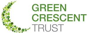 logo-main