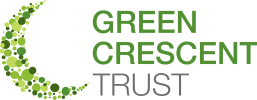 logo-main